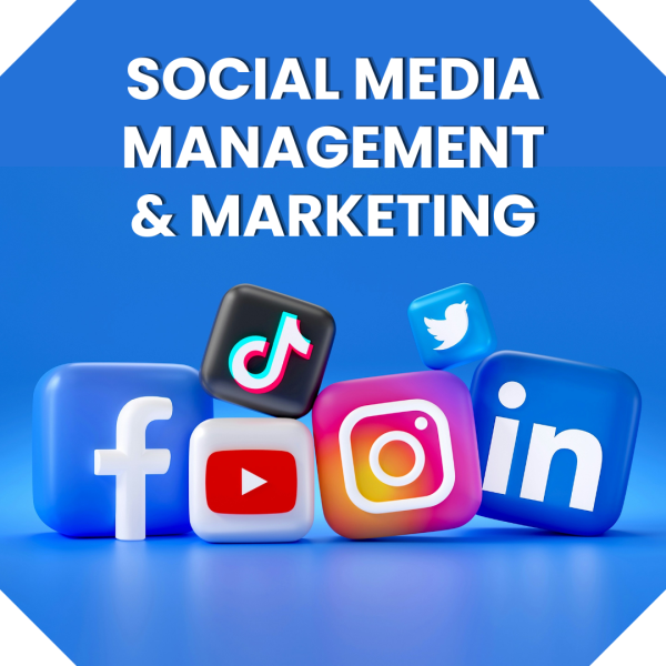 Social Media Management + Marketing: DELUXE